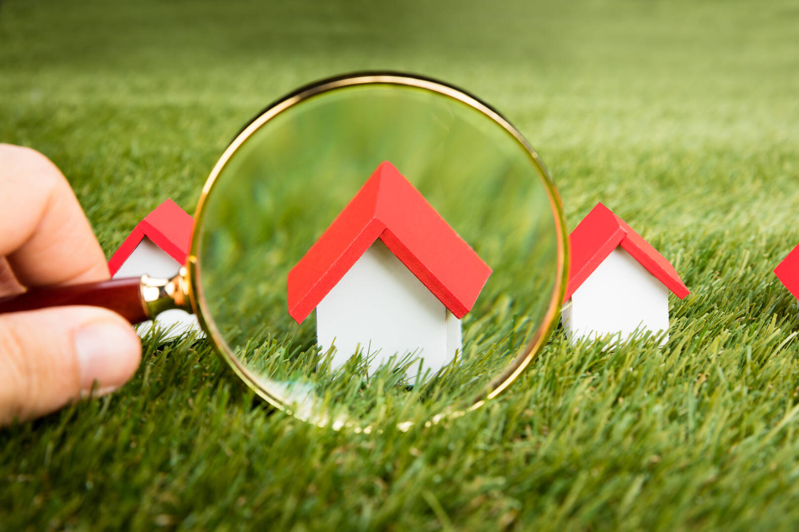 Caron Quicke REALTOR