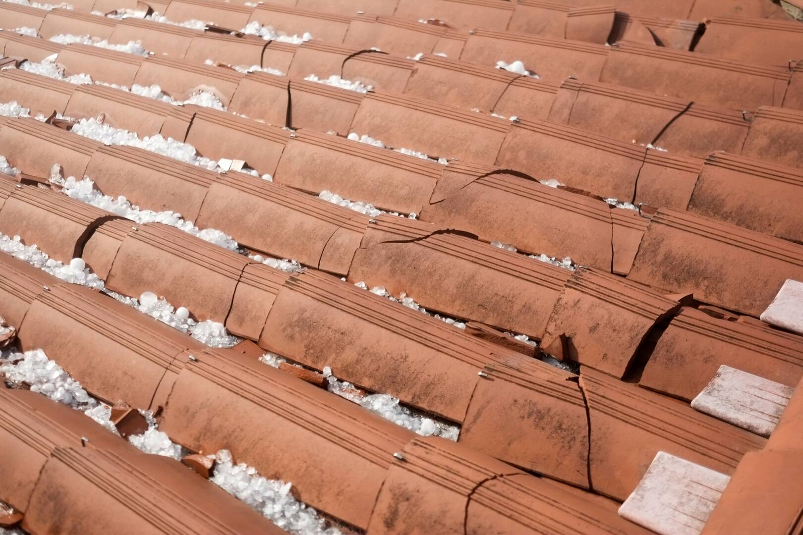 P&D Roof Trusses
